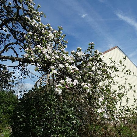 Bed and Breakfast Au Val Des Meuris Taintrux Exterior foto