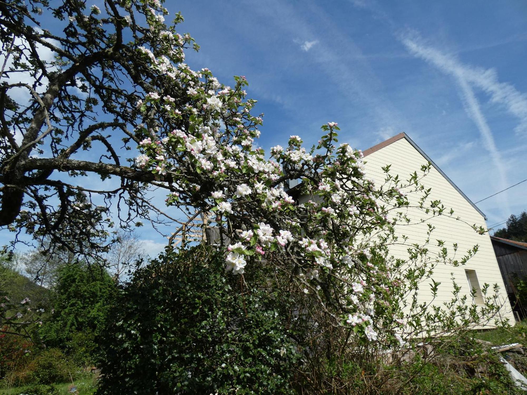 Bed and Breakfast Au Val Des Meuris Taintrux Exterior foto